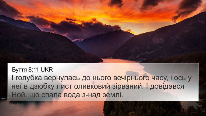 Буття 8:11 UKR Bible Verse Image