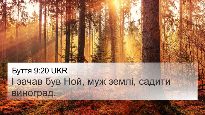 Буття 9:20 UKR Bible Verse Image