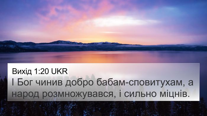 Вихід 1:20 UKR Bible Verse Image