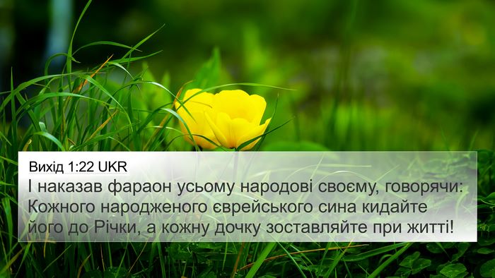 Вихід 1:22 UKR Bible Verse Image