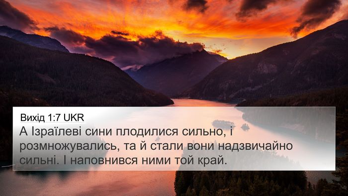 Вихід 1:7 UKR Bible Verse Image
