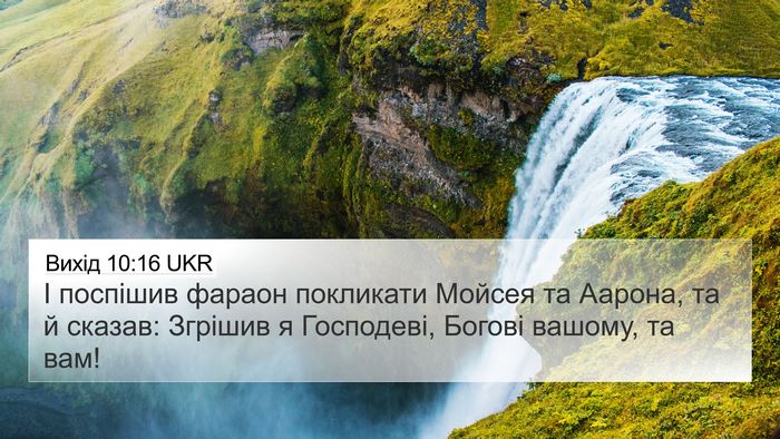 Вихід 10:16 UKR Bible Verse Image