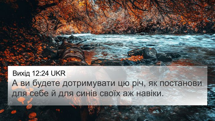 Вихід 12:24 UKR 4K Wallpaper - А ви будете дотримувати цю - 4K Wallpaper Bible Verse