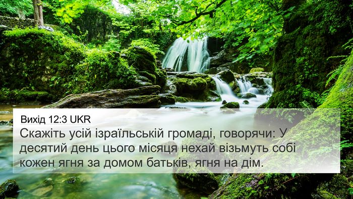 Вихід 12:3 UKR Bible Verse Image