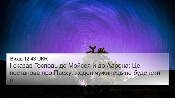 Вихід 12:43 UKR Bible Verse Image