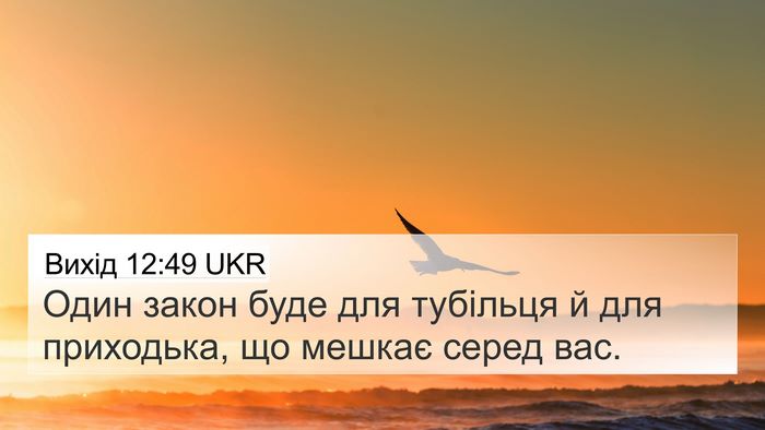 Вихід 12:49 UKR Bible Verse Image