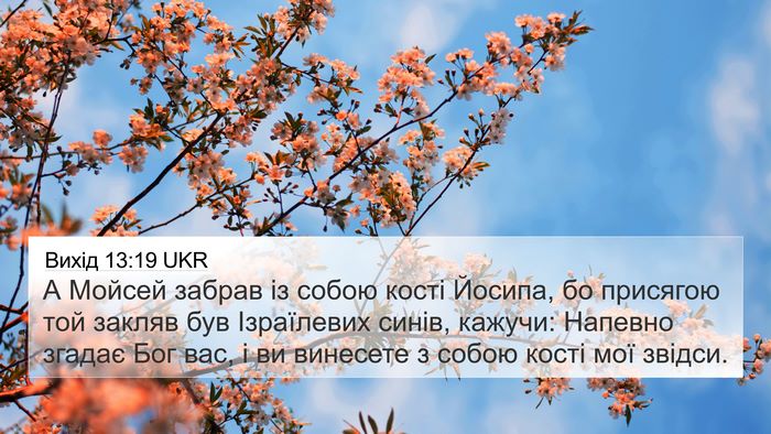 Вихід 13:19 UKR Bible Verse Image
