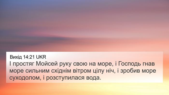 Вихід 14:21 UKR Bible Verse Image