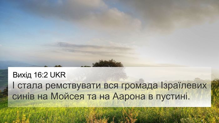Вихід 16:2 UKR Bible Verse Image