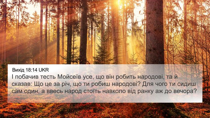Вихід 18:14 UKR Bible Verse Image