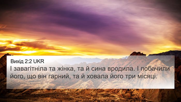 Вихід 2:2 UKR Bible Verse Image