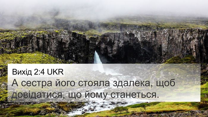 Вихід 2:4 UKR Bible Verse Image