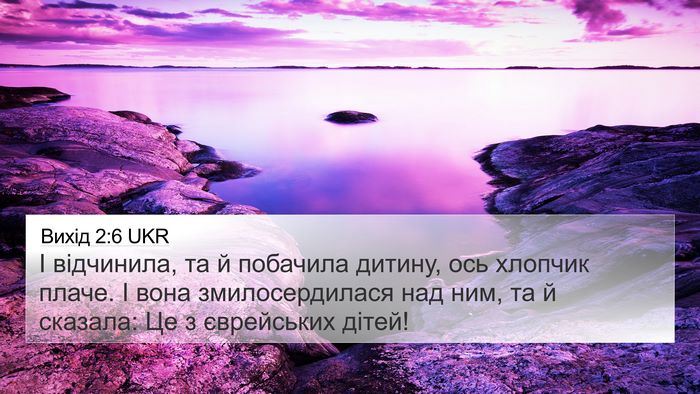 Вихід 2:6 UKR Bible Verse Image