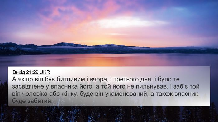Вихід 21:29 UKR Bible Verse Image