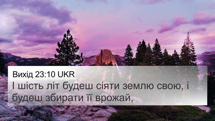 Вихід 23:10 UKR Bible Verse Image