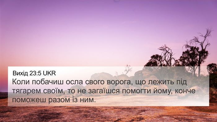 Вихід 23:5 UKR Bible Verse Image