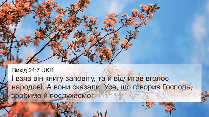 Вихід 24:7 UKR Bible Verse Image