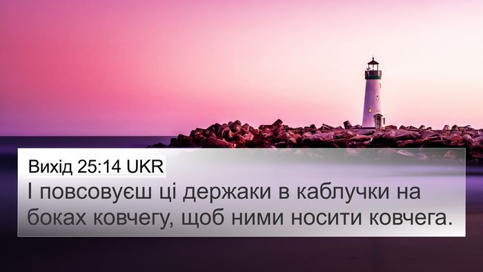 Вихід 25:14 UKR Bible Verse Image