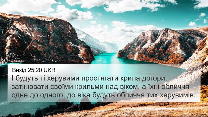 Вихід 25:20 UKR Bible Verse Image