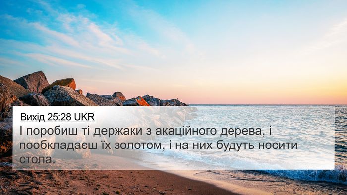 Вихід 25:28 UKR Bible Verse Image