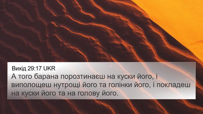 Вихід 29:17 UKR 4K Wallpaper - А того барана порозтинаєш - 4K Wallpaper Bible Verse