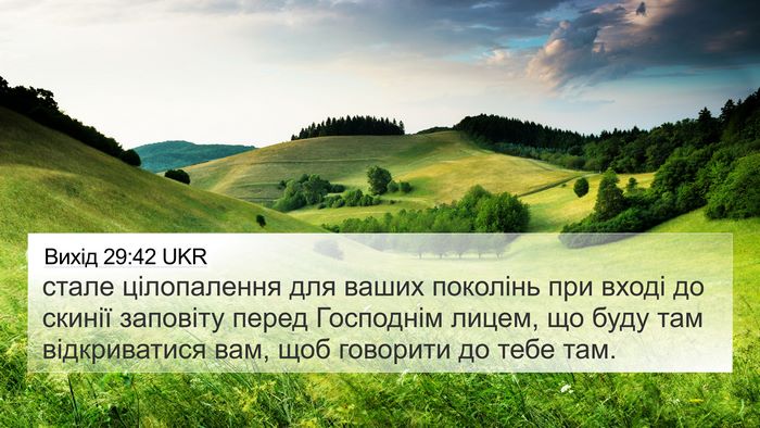 Вихід 29:42 UKR 4K Wallpaper - стале цілопалення для - 4K Wallpaper Bible Verse