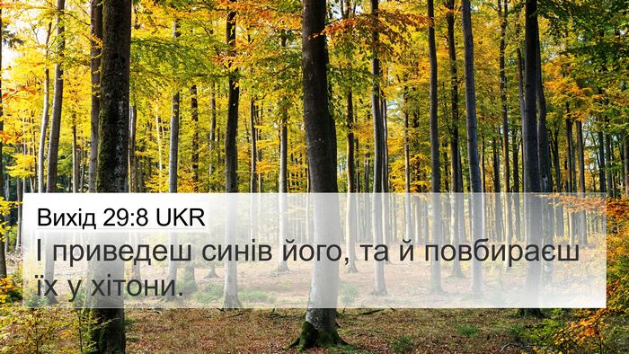 Вихід 29:8 UKR 4K Wallpaper - І приведеш синів його, та й - 4K Wallpaper Bible Verse