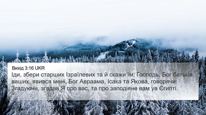 Вихід 3:16 UKR Bible Verse Image