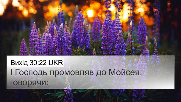 Вихід 30:22 UKR 4K Wallpaper - І Господь промовляв до - 4K Wallpaper Bible Verse