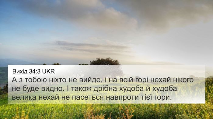 Вихід 34:3 UKR Bible Verse Image