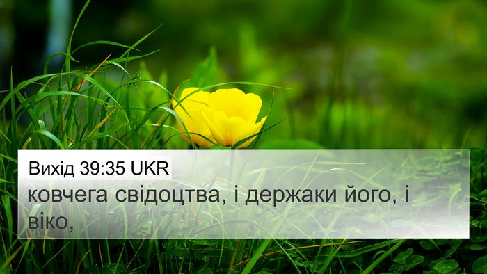 Вихід 39:35 UKR 4K Wallpaper - ковчега свідоцтва, і - 4K Wallpaper Bible Verse