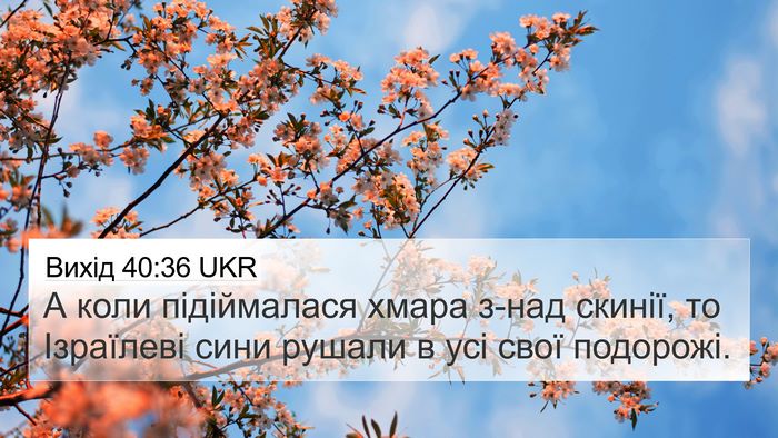 Вихід 40:36 UKR Bible Verse Image
