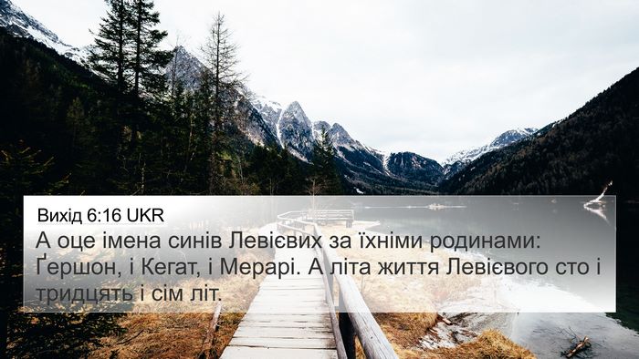 Вихід 6:16 UKR Bible Verse Image