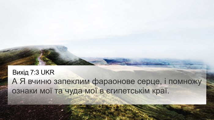 Вихід 7:3 UKR Bible Verse Image