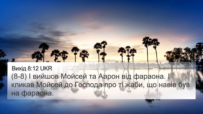 Вихід 8:12 UKR Bible Verse Image