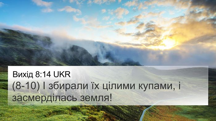 Вихід 8:14 UKR 4K Wallpaper - (8-10) І збирали їх цілими - 4K Wallpaper Bible Verse