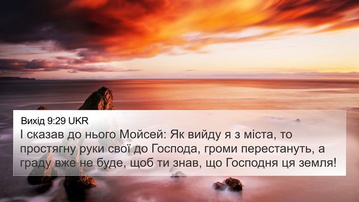 Вихід 9:29 UKR Bible Verse Image
