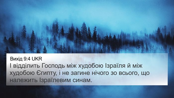 Вихід 9:4 UKR Bible Verse Image