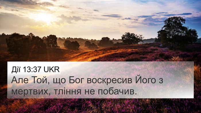 Дії 13:37 UKR Bible Verse Image