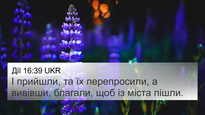 Дії 16:39 UKR Bible Verse Image