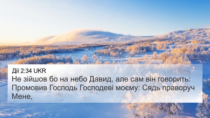 Дії 2:34 UKR Bible Verse Image
