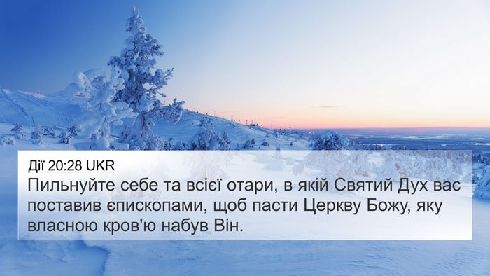 Дії 20:28 UKR Bible Verse Image