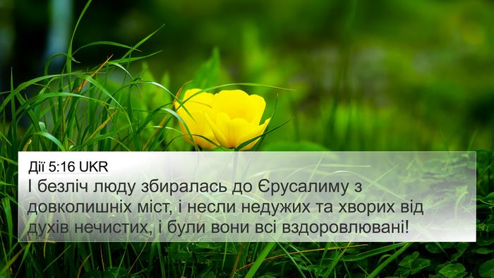 Дії 5:16 UKR Bible Verse Image