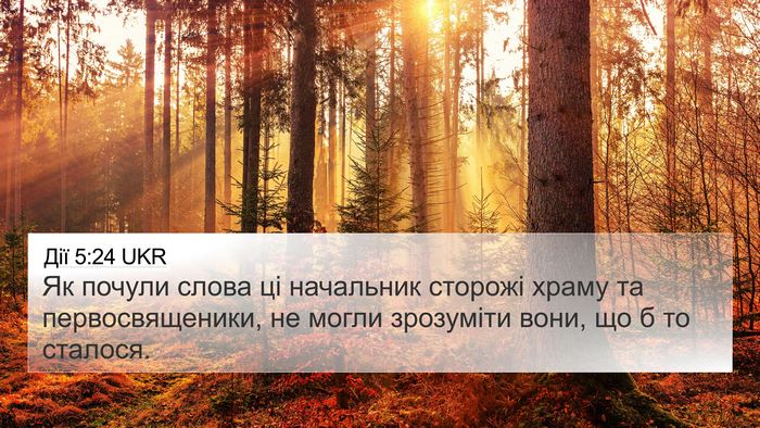 Дії 5:24 UKR Bible Verse Image