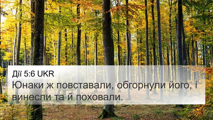 Дії 5:6 UKR 4K Wallpaper - Юнаки ж повставали, - 4K Wallpaper Bible Verse