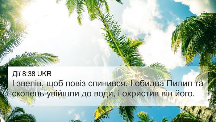 Дії 8:38 UKR 4K Wallpaper - І звелів, щоб повіз - 4K Wallpaper Bible Verse