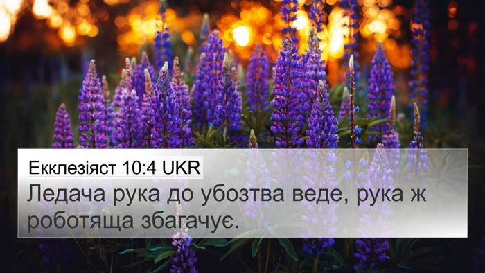 Екклезіяст 10:4 UKR Bible Verse Image