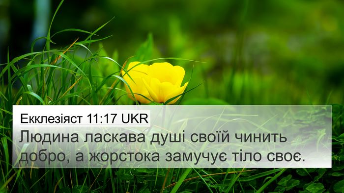 Екклезіяст 11:17 UKR Bible Verse Image