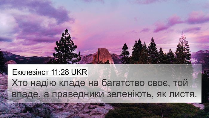Екклезіяст 11:28 UKR Bible Verse Image