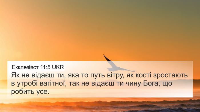 Екклезіяст 11:5 UKR Bible Verse Image